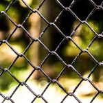 Fence in Branson MO – Tips For Finding The Best Company