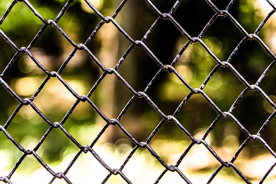 Fence in Branson MO – Tips For Finding The Best Company