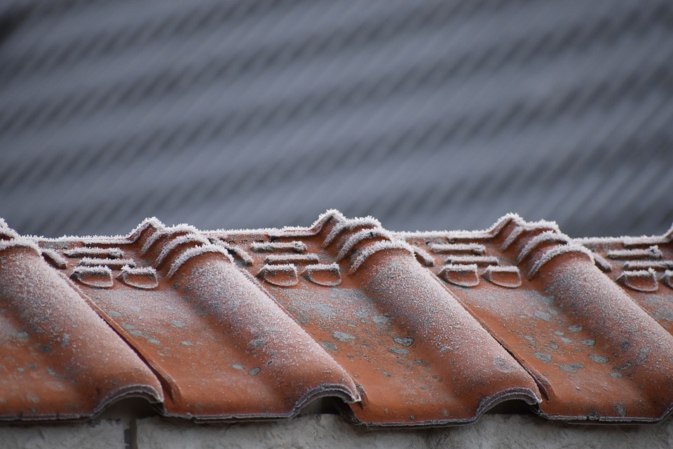 Asphalt Shinge Repair