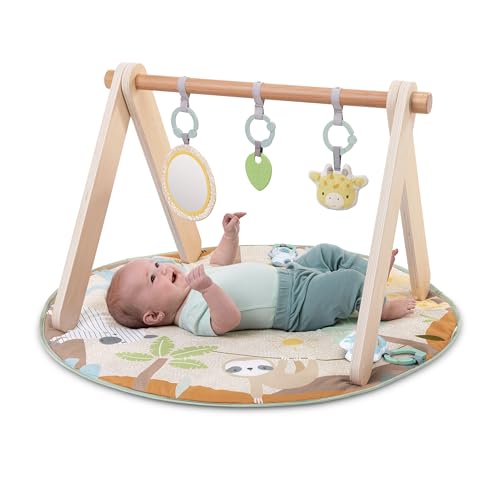 INGENUITY WONDERS INGENUITY WONDER & WOOD TOY ARCH & MAT - MULTI COLOR/BEIGE