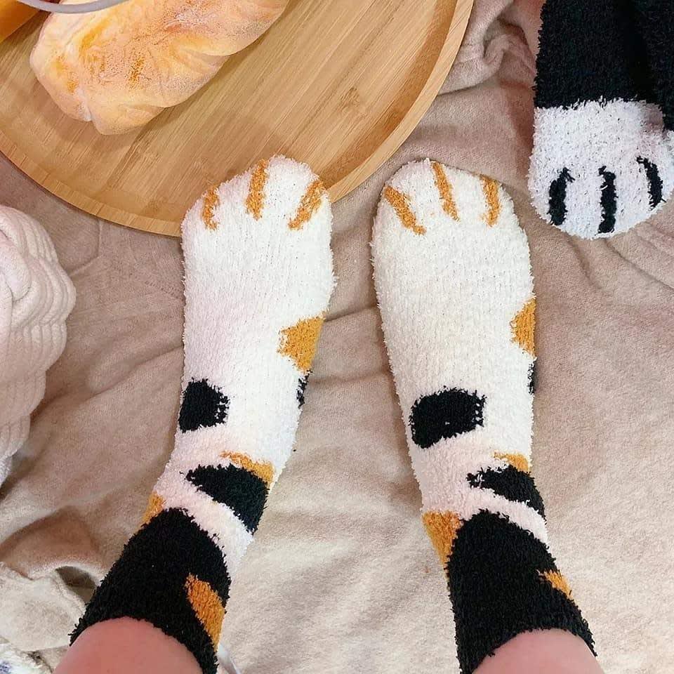 6 Pack Cat Paw Socks