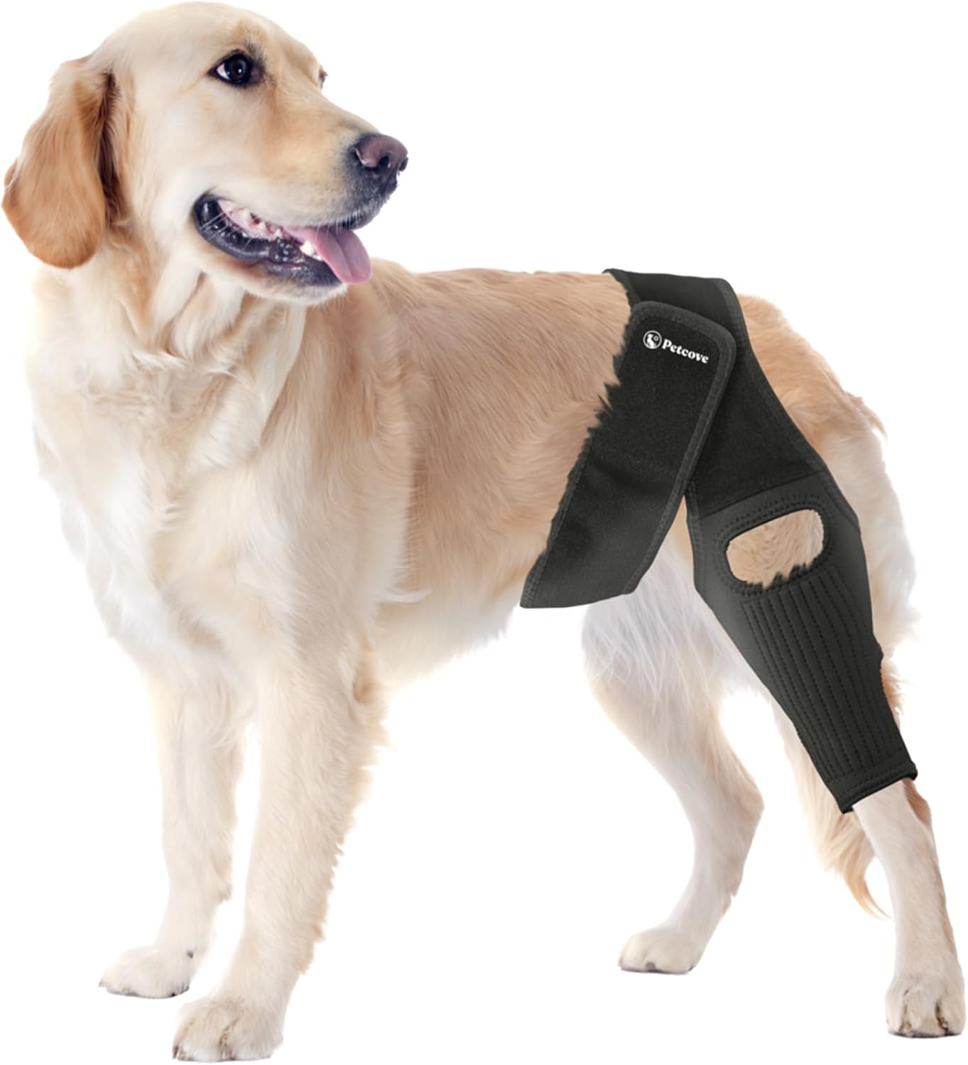 PawEase Medium Black Dog Knee Brace for Torn Acl Hind Leg