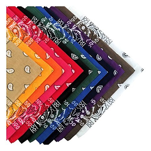 12-Pack Classic Cotton Paisley Print Bandana Scarfs- 12 Colors
