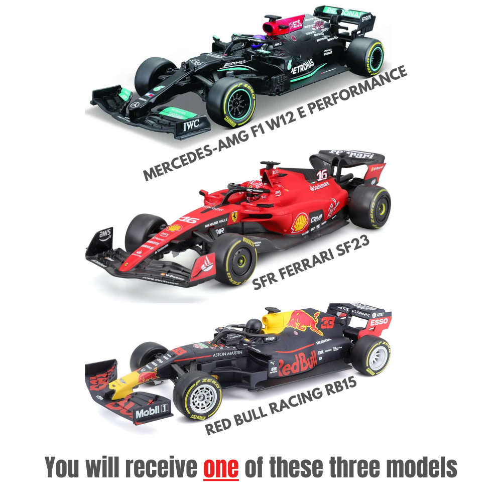 Assorted Maisto Racing Remote Control Vehicle 1:24 Scale Assortment