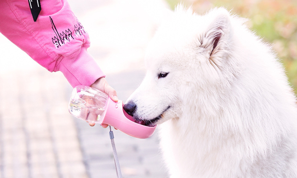 Pets Dogs Drinking Cup Water Bottle