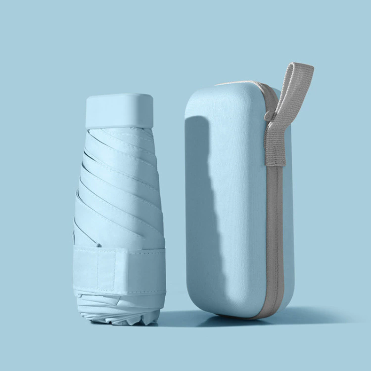 Umbrella With Carry Case