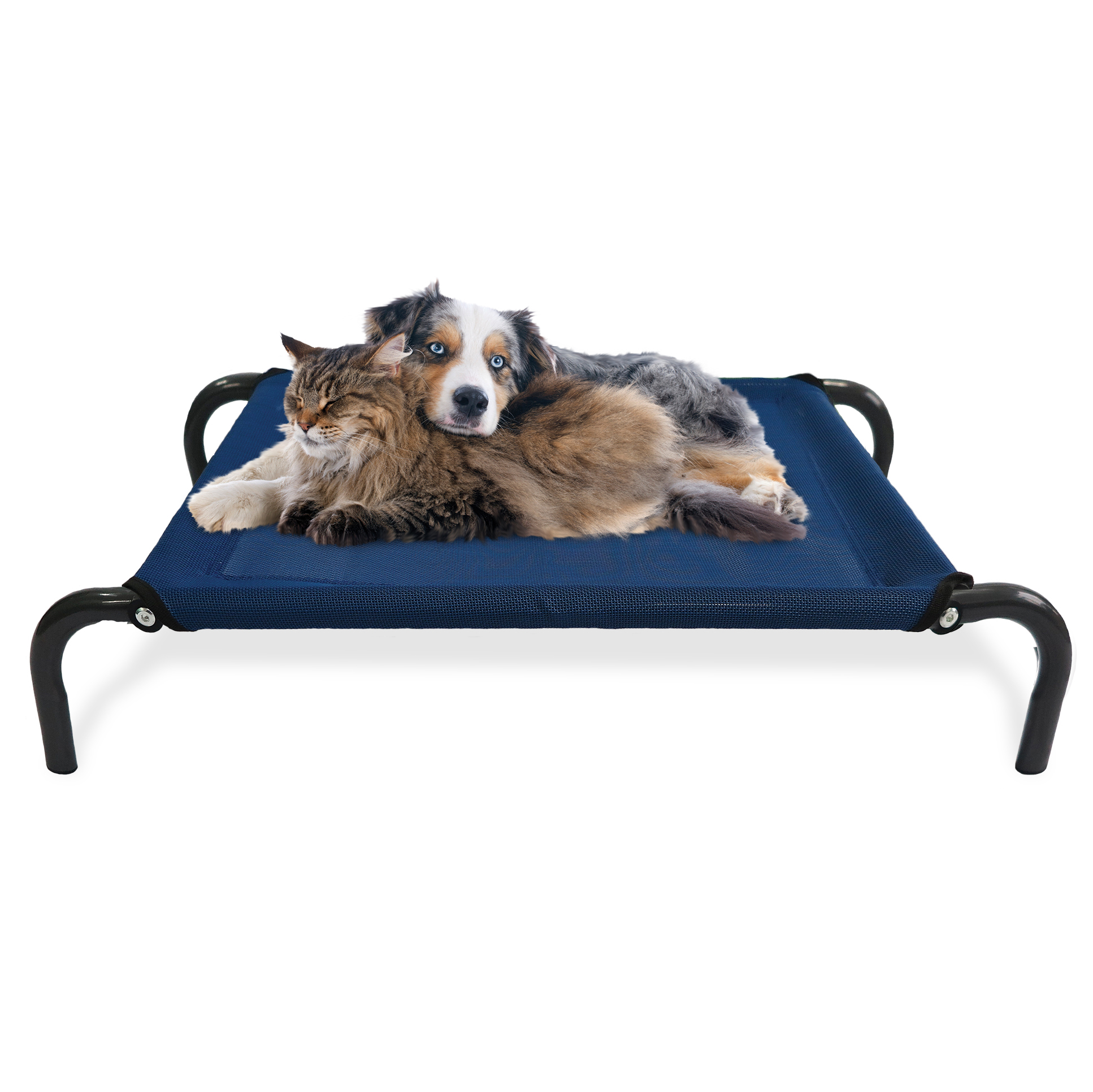 Elevated Steel Frame Pet Cot Bed Tanga