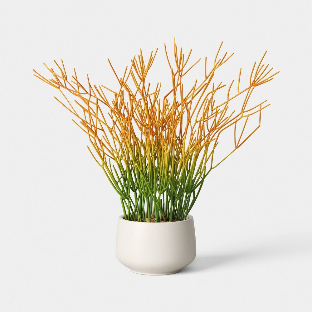 16" Artificial Pencil Cactus Dish Garden - Threshold