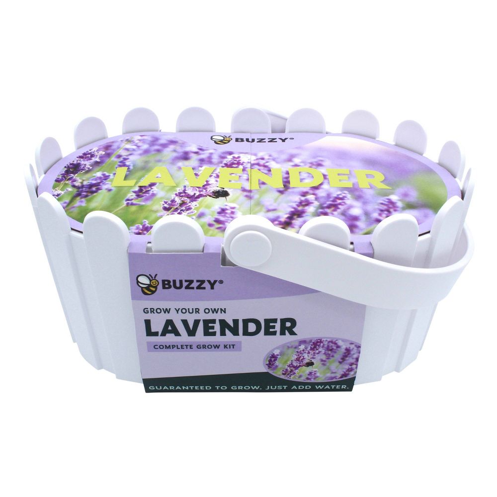 Buzzy Seeds Lavender Cut Flower and Herb Basket