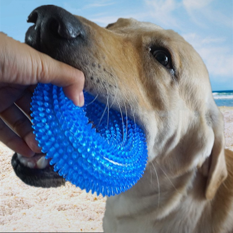 Durable Dog Squeaky Chew Toys Teething Ring Interactive Training Playing Pet Toy