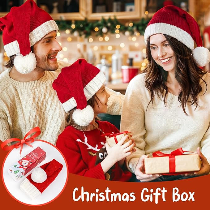 2-Pack Santa Hat