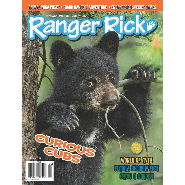 Ranger Rick Magazine Subscription Ranger Rick Magazine Subscription