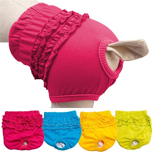 dog period panties