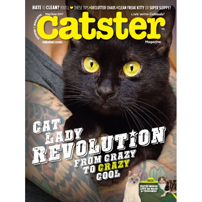Catster Magazine Subscription Catster Magazine Subscription