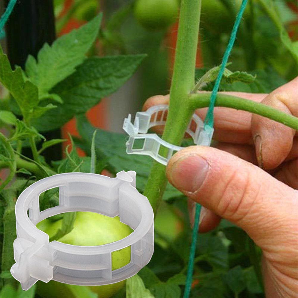 100PC Trellis Clips Supports Connects Plants Vines Trellis Twine Cages 100PC Trellis Clips Supports Connects Plants Vines Trellis Twine Cages