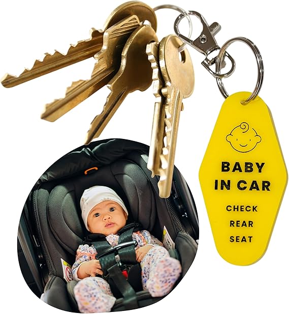 2-Pack Safe Baby in Car Reminder Keychain