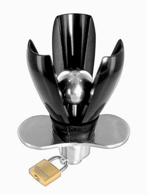 plug anal xl Ass with Tanga: A Comprehensive Review and Guide for Users main image 1