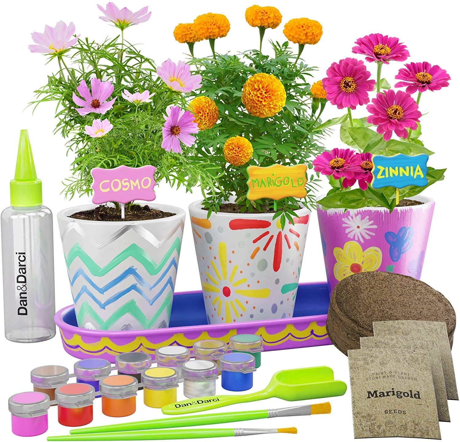 Paint & Plant Stoneware Flower Gardening Kit