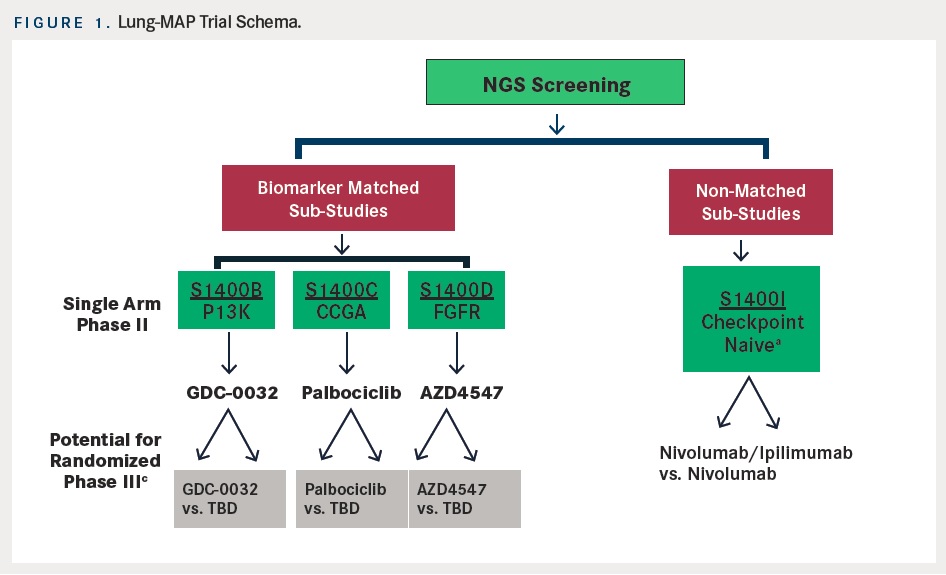 Targeted Therapy for Advanced Squamous Cell Lung Cancer