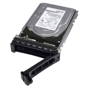 Dell 900GB 15K RPM SAS 512n 2.5in Hot-plug Hard Drive 3.5in HYB CARR CK