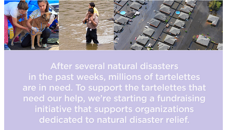 After several natural disasters in the past weeks, millions of tartelettes are in need. To support the tartelettes that need our help we're starting a fundraising initiative that supports  organizations dedicated to natural disaster relief.