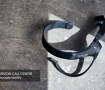 Horizon Call Center