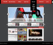 Palestinian Social Committee Website