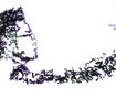My Profile