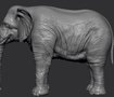 1 - Elephant 