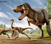 T.Rex VS Struthiomimus