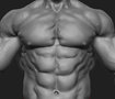 Body Builder