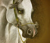 pastel drawing