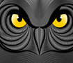 owl illustation