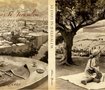 30 days in Jerusalem 