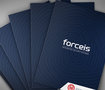 Forceis