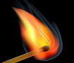  illustrator mesh tool
