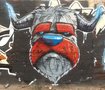 Graffiti / Street art / Murals 