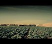 اعلان شاي الغزالين