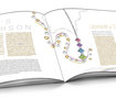 " La Rosa " Jewelry Annual Report 