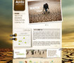 websites designs