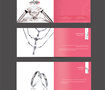 Introductory brochure