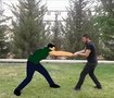  2d animation prenciples