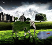 elephant design natural