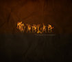 1 - Wallpapers