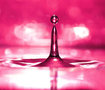Macro