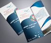 بروشور