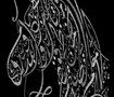 Typography