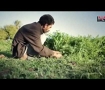 اعلان لمؤسسة احسان الخيرية