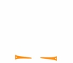 Animation 