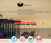 OUDHAI-ART WEB SITE DESIGN *DEMO*